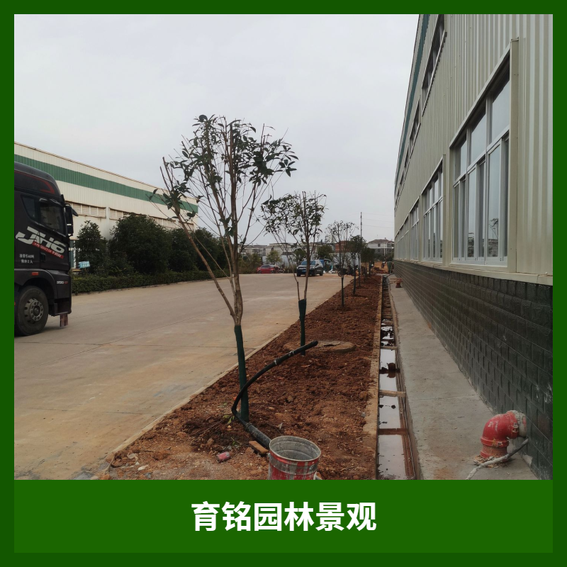 成都工业园区绿色升级，专业绿化工程服务商护航